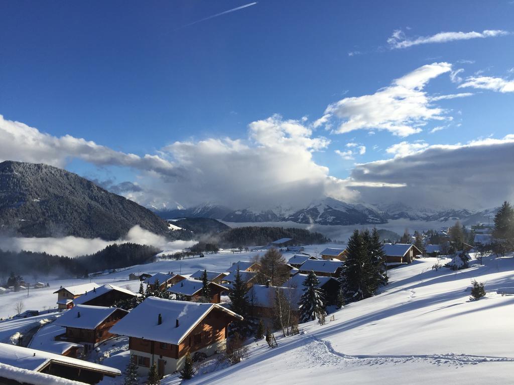 Apartmán La Petite Silene Leysin Pokoj fotografie