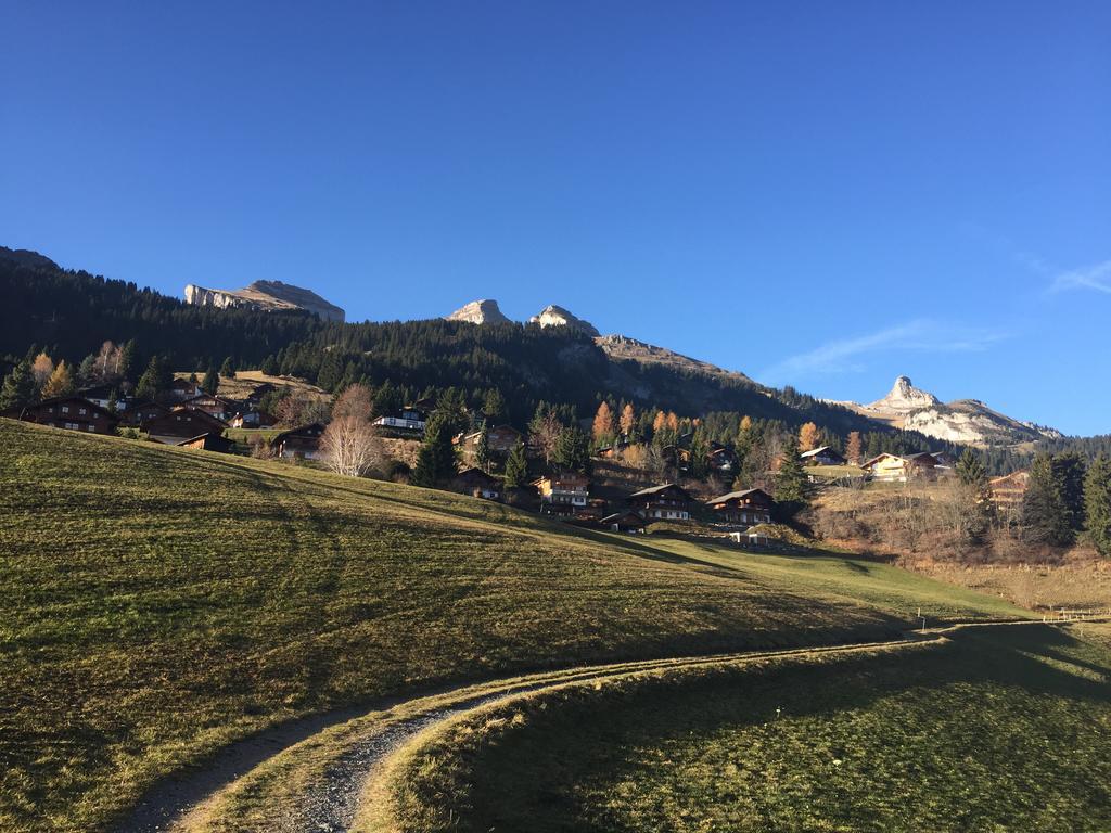 Apartmán La Petite Silene Leysin Pokoj fotografie