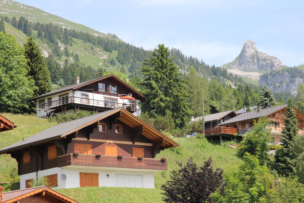 Apartmán La Petite Silene Leysin Pokoj fotografie