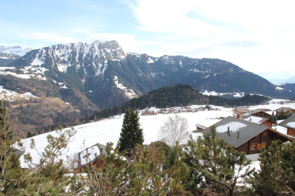 Apartmán La Petite Silene Leysin Exteriér fotografie