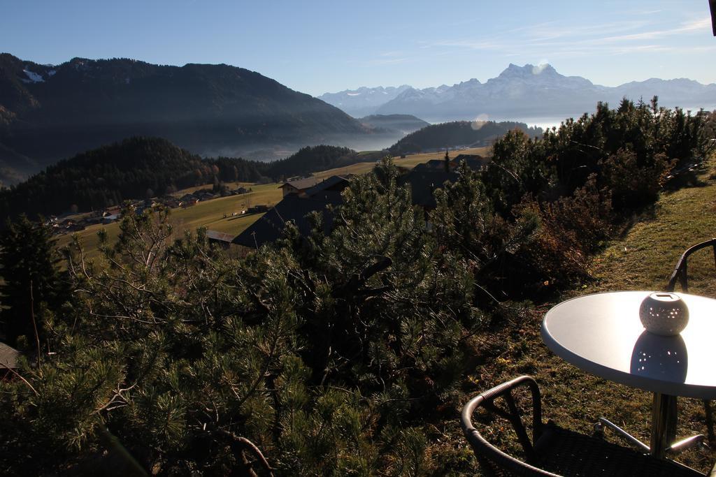 Apartmán La Petite Silene Leysin Exteriér fotografie