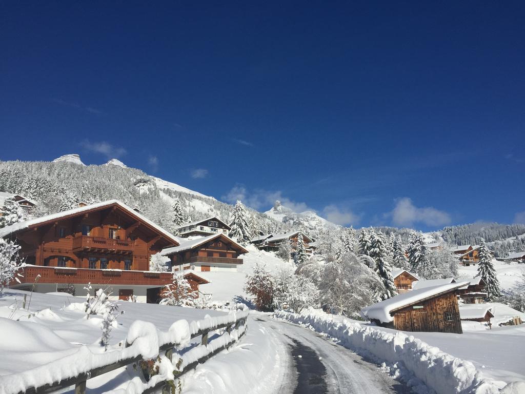 Apartmán La Petite Silene Leysin Exteriér fotografie