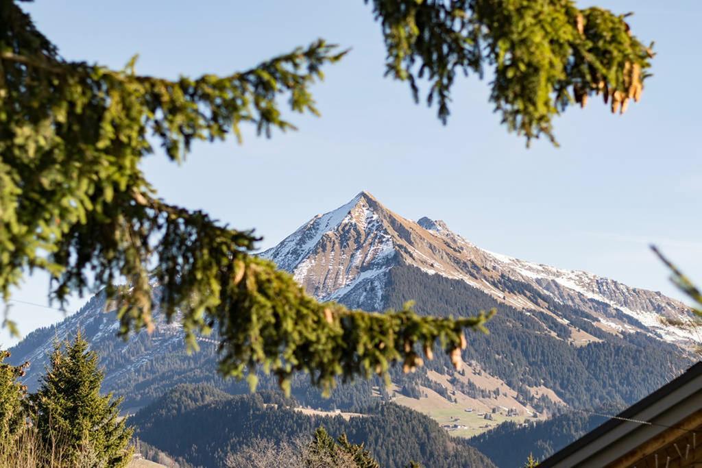 Apartmán La Petite Silene Leysin Exteriér fotografie